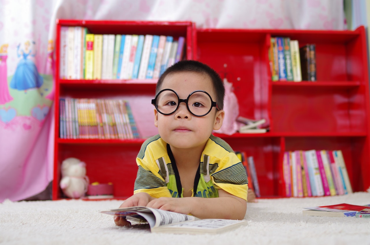 adorable-blur-bookcase-books-261895